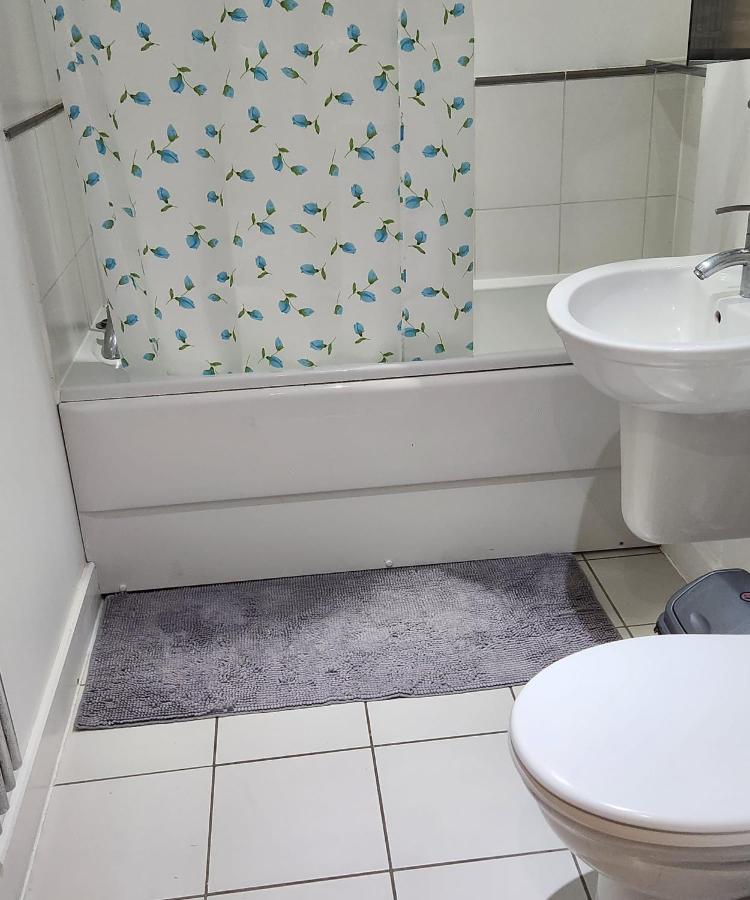 Luxury 2 Bed Apartment Excel 伦敦 外观 照片